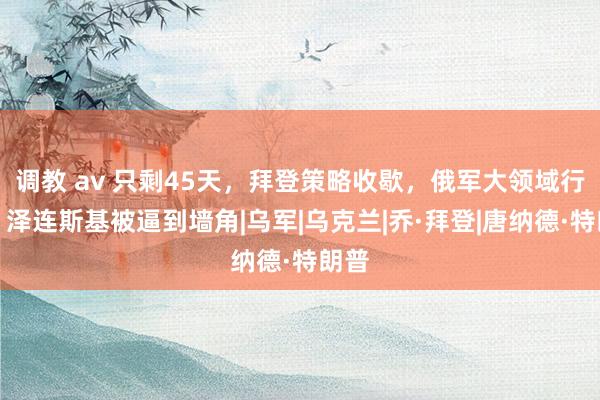 调教 av 只剩45天，拜登策略收歇，俄军大领域行径，泽连斯基被逼到墙角|乌军|乌克兰|乔·拜登|唐纳德·特朗普