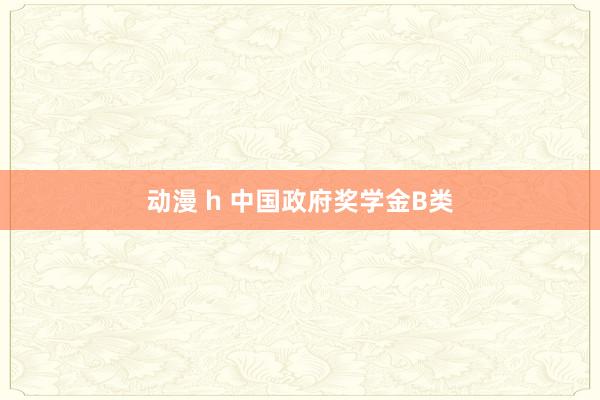 动漫 h 中国政府奖学金B类