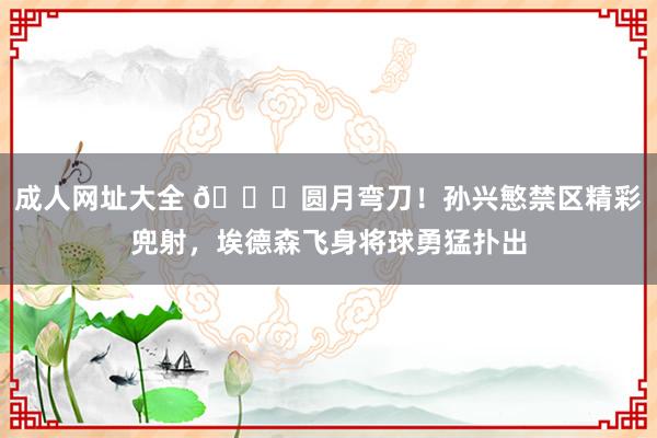成人网址大全 🌙圆月弯刀！孙兴慜禁区精彩兜射，埃德森飞身将球勇猛扑出